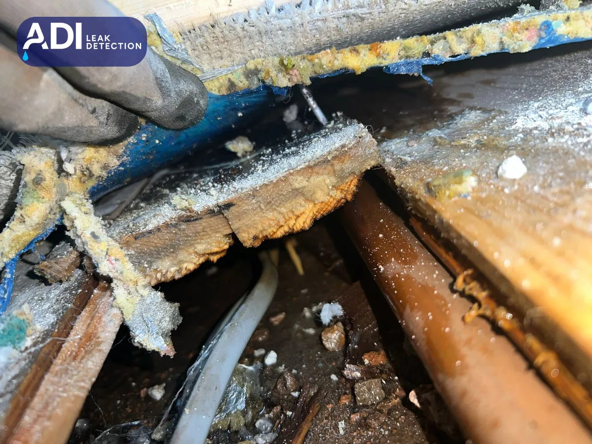 A screw through the timber of a floor frame, above a copper heating pipe in the floor void